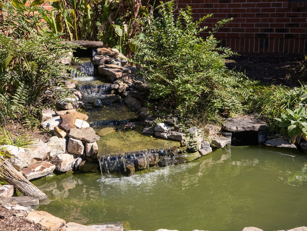 IMG_5188-39 copy (1)